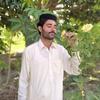 Matti Jan - @matti.jan6 - TikTok