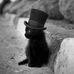 Jane Mcclintock - Facebook