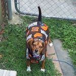 MaryJane McClintock - @maryjanemcclintock - Instagram