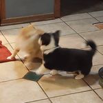 Jan McCombs - @jan.mccombs - Instagram