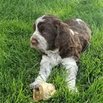 Jan Mccormick - @janmccormick56 - Instagram