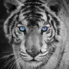 Janiyah Mccormick - @janiyahmccormick - TikTok