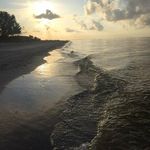 Jan McCoy - @jan.mccoy.148 - Instagram