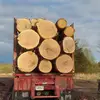Loggers wife - @janmcdanielstratt - TikTok