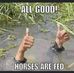 Jan McGrath - Facebook