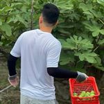 Jan McGrath - @janmcgrath498dpi - Instagram