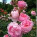 Jan McKnight - Facebook