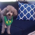 Jan Mcknight - @beachgirl1955 - Instagram