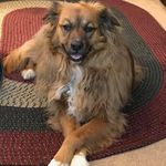 Janelle Vahala McMahan - @alltoomany - Instagram