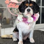 Jan Mcmichael Temple - @mcmichaeljanette - Instagram