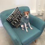 Jan McNamara - @janmarymac - Instagram