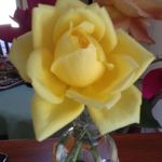 Jan McNamara - @janmac1935 - Instagram