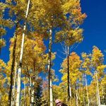 Jan McNamara Wadsworth - @jan.wadsworth - Instagram