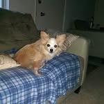 Jan Meadows Ramsey - @meadowsramsey - Instagram