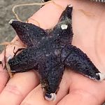Jan Meier - @jmei69 - Instagram