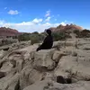 Jan Melendez - @janca.pr - TikTok