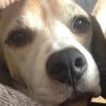 Jan Millington - @jan.millington - Instagram
