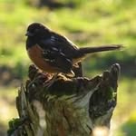 Jan Mohler Balsbaugh - @grammy_jan.b - Instagram