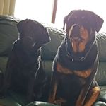 Jan Morin - @jdrkm - Instagram