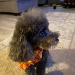 Jan Morrow - @janmorrow49 - Instagram