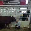 Jan Morrow - @jan.morrow - TikTok