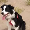 Jan Moseley - @jan.moseley4 - TikTok
