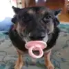 Jan Moser - @j.moser69 - TikTok