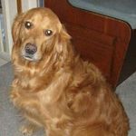 Jan Munson - @jmunson2009 - Instagram