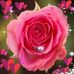 Jan Munson - Facebook