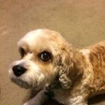 Jan.munson.986 - @jan.munson.986 - Instagram