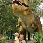 Jan Navratil - @jan.navratil.543 - Instagram