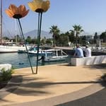 Jan Nolan - @jannolan406 - Instagram