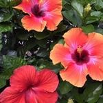 Jan Norris - @jan.norris78 - Instagram
