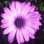 Jan Oates - @oates_jan - Instagram