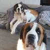 Jane Oates - @jane.oates - TikTok
