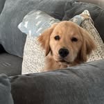 Jan Odom Dunn - @janodom - Instagram