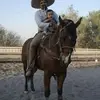 Janocaballos - @janogarcia60 - TikTok
