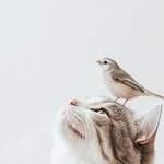 Abigail Robertson - @janogden748zvm - Instagram