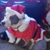 janogden188 - @janogden188 - TikTok