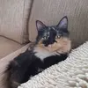 Jean O'Hare - @jean.ohare - TikTok