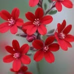 Ilyas Jan - Facebook