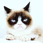 J. Diekmann - @jan_oldenburg_von_1897 - Instagram