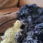 Jan Oldenburg - @jan_croos - Instagram