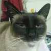 Sweet Mable - @janoldenburg1 - TikTok