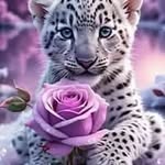 Jane Oldfield - @jane39444 - Instagram
