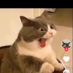 jan oliva - @jan.oliva.secret.47 - Instagram