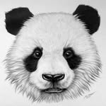 Jan Hendrik Oort - @_jan_oort - Instagram
