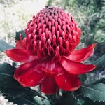 Jan Orton - @jan.orton - Instagram