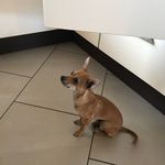 Jan Oswald - @j_oswald0788 - Instagram