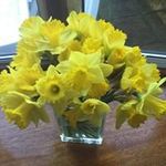 Jan Oswald - @joswald1958 - Instagram